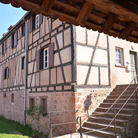 Le Millésime De Charme Classé 4 étoiles Sur Les Remparts - Animaux De Compagnie Acceptés * Riquewihr