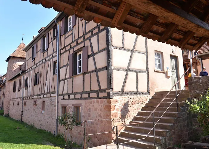 Le Millésime De Charme Classé 4 étoiles Sur Les Remparts - Animaux De Compagnie Acceptés * Riquewihr